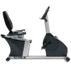 TRUE PS100 Recumbent Bike