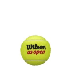 Wilson US Open 4 Ball 18 Can Case -Venum Shop WRT116200X18 4