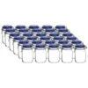 Bormioli Rocco 1L Swing Top Fido Glass Jars - Blue Lid | 30-pack 2 Bormioli Rocco 1L Swing Top Fido Glass Jars - Blue Lid | 30-pack -Venum Shop ekb br1lfb 30
