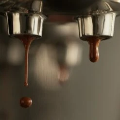 Breville The Bambino Plus Espresso & Cappuccino Maker | Brushed Stainless Steel -Venum Shop image 4